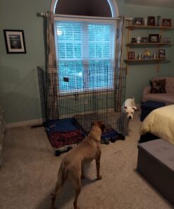 MidWest Homes for Pets Foldable Metal Dog Exercise Pen / Pet Playpen, Black w/ door, 24'W x 48'H, 1-Year Manufacturer's Warranty 48" H 36 71q3LbUM6iL