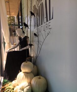 PREXTEX 6pcs Black-Feathered Small Crows Halloween Decorations | Outdoor&Indoor Decor | Fake Bird, Halloween Birds, Scary Ravens, Decorative Crows, Raven | Home, Fence, Porch, Tree, Party Decoration 29 71q4mDZ40fL