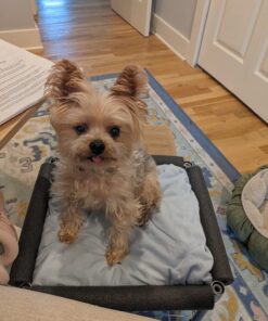 Whitmor Supreme Stacking Shelf with Basket - Adjustable Home Organizer - Chrome Stacking Shelf W/Basket 37 71q4w OKedL