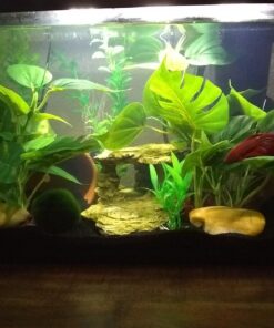 CNZ® Aquarium Fish Tank Green Lifelike Underwater Plastic Plant Aquatic Water Grass Decor (Large, 13-inch) Large, 13-inch 26 71q57QXAO3L