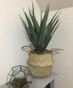 Nearly Natural 30in. Agave Artificial Plant with Black Planter, Green 41 71q5ez7ynYL