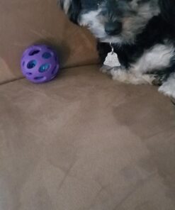 JW Pet Crackle Heads Crackle Ball, Small 33 71qChVNLAxL