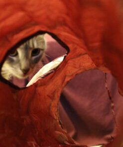 SmartyKat Crackle Chute Crinkle Activity Tunnel Cat Toy - Tan/Red, One Size Set of 1 Crackle Chute Tunnel 42 71qDNK1F52L
