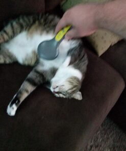 JW Petmate GripSoft Cat Brush, White & Blue, One Size 25 71qEkDXK5CL