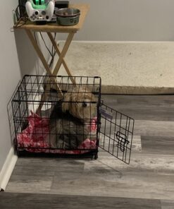 MidWest Homes for Pets Newly Enhanced Single Door iCrate Dog Crate, Includes Leak-Proof Pan, Floor Protecting Feet , Divider Panel & New Patented Features XX-Small - 18" L x 12" W x 14" H 45 71qFi0Fqj6L