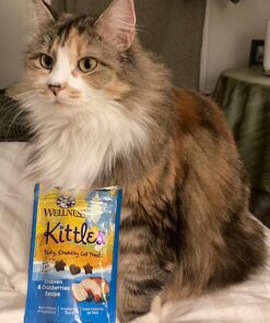Wellness Kittles Crunchy Natural Grain Free Cat Treats, Salmon & Cranberry, 2-Ounce Bag 2 Ounce (Pack of 1) 32 71qHMPcHNL