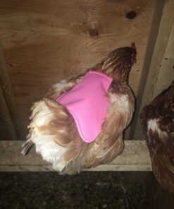 Hen Saver Poultry health equipment Single Strap Hen Apron Chicken Saddle, Khaki, Large US 35 71qJ4tp20HL