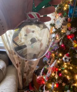 Grafix KCI811-6 Ink Jet Film, 8-1/2-Inch by 11-Inch, 6-Pack, Clear 8-1/2" x 11" 29 71qLPcKl6YL