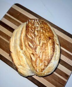 Brod & Taylor Folding Proofer & Slow Cooker (Proofer) 48 71qLZT2ATvL