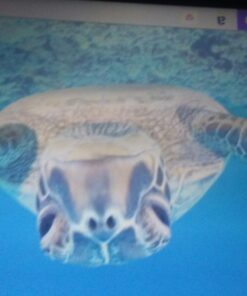 LG Optimus Zone 3 (Verizon LTE Prepaid) 10 71qO6qEGUmL