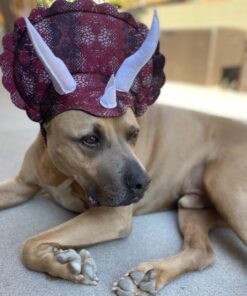 Animal Planet PET20104 Triceratops Dog Costume, Large 17 71qORhmsEKL
