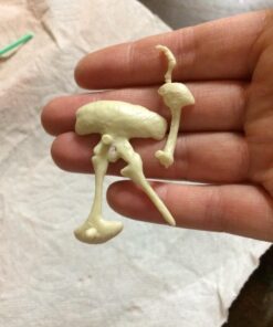 4M KidzLabs Dig A Dino Tyrannosaurus Rex, Paleontology Skeleton Fossil Dinosaur Discovery - STEM Toys Educational Gift for Kids & Teens, Girls & Boys 32 71qSRsa9A2L 3