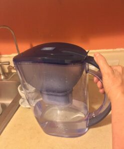 Ehm Ultra Premium Alkaline Water Filter Pitcher - 3.8L, Activated Carbon Filter- BPA Free, Healthy, Clean, & Toxin-Free Mineralized Alkaline Water in Minutes- Up to 9.5 pH-2023 blue 33 71qTK5chwCL
