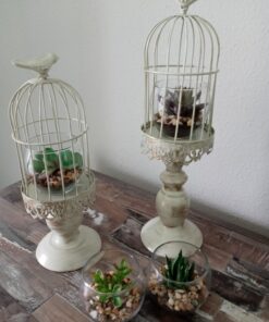 MyGift Assorted Artificial Succulent Fake Plant in Small Clear Glass Display Vases, Set of 4 29 71qWfGZLwZL