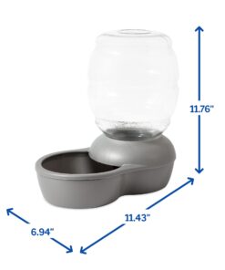 Petmate Replendish Automatic Gravity Waterer for Cats and Dogs, BPA-Free, No Batteries Required, Includes Charcoal Filter, 1 Gallon, Made in USA Silver 1 GAL 39 71qY9jSaOHL