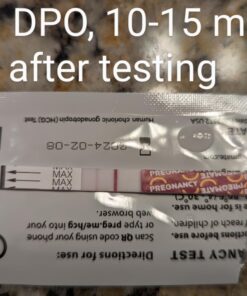 Pregmate 50 Pregnancy Test Strips (50 Count) 50 Count 38 71qYlDcuhfL