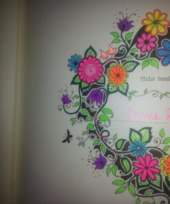 Secret Garden: An Inky Treasure Hunt and Coloring Book for Adults 71 71qZRoDNSL