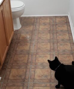 Nexus Self Adhesive 12-Inch Vinyl Floor Tiles, 20 Tiles - 12" x 12", Spanish Rose Pattern - Peel & Stick, DIY Flooring for Kitchen, Dining Room, Bedrooms & Bathrooms by Achim Home Decor 56 71qa64i89L