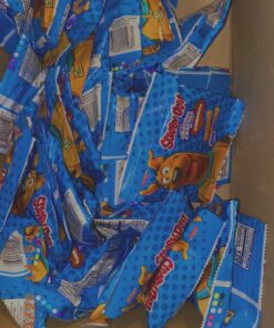 Kellogg's SCOOBY-DOO! Baked Graham Cracker Snacks, Lunch Snacks, Snack Crackers, Cinnamon (40 Pouches) 22 71qcHEi9chL