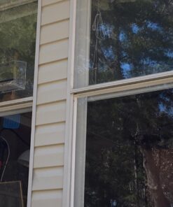 Large Clear Window Bird Feeder - Extended House with Strong Suction Cups - Steel Perch Sliding Feed Seed Tray - See Through Transparent Big Birdhouse - Wild Finch, Cardinal, Blue Jay - Cool Cat Gift 87 71qe0b98zBL