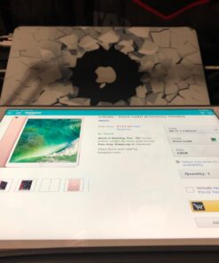 Apple iPad Pro (10.5-inch, Wi-Fi + Cellular, 64GB) - Rose Gold (Previous Model) 20 71qlVDIEvSL