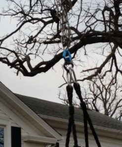 M & M Sales Enterprises MM00124Web Riderz Outdoor Swing N' Spin- Safety Rated to 600 lb, 39 inch Diameter, Adjustable Hanging Ropes, Ready to Hang and Enjoy as a Family, Black 40 71qlcvVHy1L 1