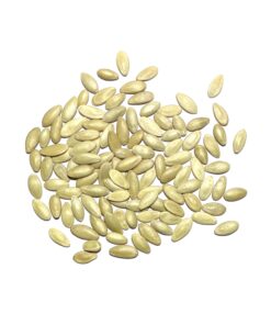 Seed Needs, Lemon Cucumber Seeds - 50 Heirloom Seeds for Planting Cucumis sativus - Fresh Yellow Fruits to Slice and Snack, Non-GMO & Untreated (1 Pack) 1 Pack (50 Seeds) 9 71qlk3Lkq4L