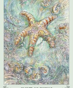 Spiritsong Tarot 44 71qnXe5eAmL