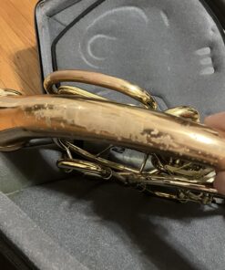 MusicNomad Silver Polish for Silver & Silver-Plated Instruments, 4 oz (MN701) 56 71qnou G9qL