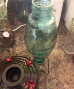 BOLITE 18001 Hummingbird Feeder, Glass Wild Hummingbird Feeders for Outdoors, Retro Edison Bulb Bottle, 25 Ounces, Green, Xmas Gifts for Bird Lovers Retro Bulb 38 71qu2My4 fL