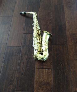 Eastar AS-Ⅱ Student Alto Saxophone E Flat Gold Lacquer Alto Beginner Sax Full Kit With Carrying Sax Case Mouthpiece Straps Reeds Stand Golden 33 71r0vKAhlYL