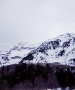 Fujifilm QuickSnap Flash 400 Disposable 35mm Camera (Pack of 2) 72 71r3UNhh4XL