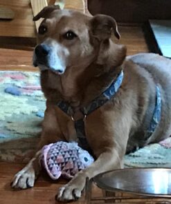 NaturVet Quiet Moments Calming Aid Plus Melatonin 180 Soft Chews 13.9OZ 26 71r3w2302nL