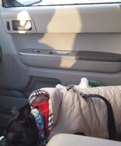 Portable Blender, Personal Blender for Shakes and Smoothies, 200W Small Blender USB Rechargeable/ 2X MORE POWERFUL Than Most Mini Travel Blender/Crushes ice,Fresh Juice Leegoal Blender Bravo(1st Gen) 15 71r5KeUEoVL