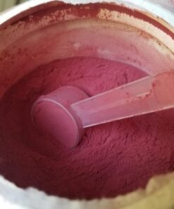Organic Beet Root Powder - Ultra High Purity Super Food Beets Juice Powder. 100% Pure Nitric Oxide Boosting Beetroot Supplement. Keto, Paleo, Vegan Reds Superfood Rich in Polyphenols 38 71r5YO4DxeL