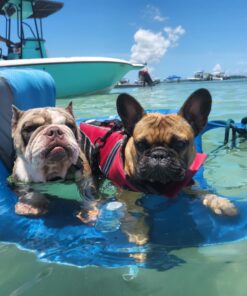 Kelsyus Spring Float Pool Lounger Chair, Light Blue Chaise 30 71r7C57y1LL