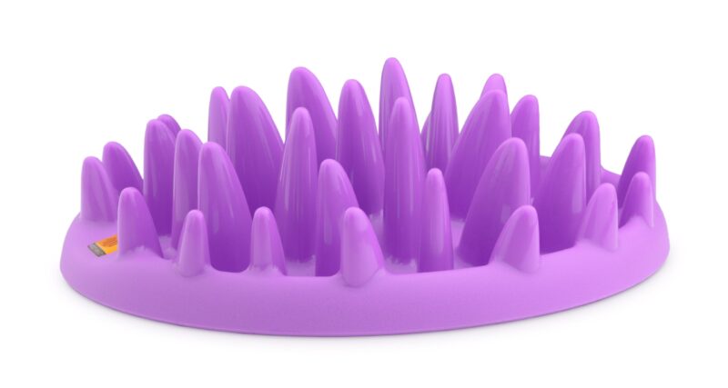 Catalog 5 Company of Animals CATCH Interactive Cat Slow Feeder, Best Fun Slow Feeder Cat Bowl, Anti-Gulp, Gobble Stopper, Mental Stimulation Cat Puzzle Game, Suitable for Kittens & Small, Medium & Large Cats