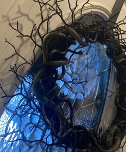 Rhode Island Novelty 14" Rain Forest Snakes | Assorted Designs | Set of 12 26 71rE78afwzL