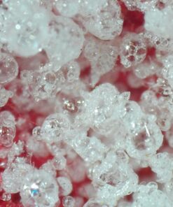 Andonstar 5 inch Screen 1080P Digital Microscope HDMI Microscope for Circuit Board Repair Soldering Tool ADSM302 52 71rEMbcQPrL