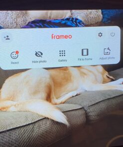 Canupdog 10.1 WiFi Digital Picture Frame, IPS Touch Screen Smart Cloud Digital Photo Frame with 16GB Storage, Wall Mountable, Auto-Rotate, Motion Sensor, Share Photos via Frameo App 10.1 inch Wooden 32 71rFbZRy7bL