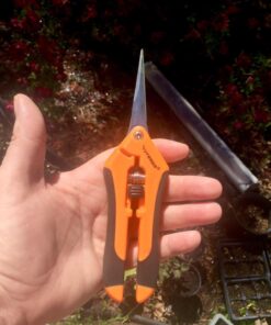 VIVOSUN 6.5 Inch Gardening Scissors Hand Pruner Pruning Shear with Straight Stainless Steel Blades Orange 1-Pack Straight Blade 38 71rHrLyNyCL