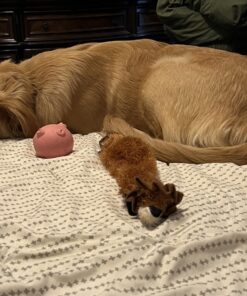 SHARLOVY Dog Squeaky Toys No Stuffing 6 Pack Dog Toys Crinkle Dog Toys for Small Dogs Durable Dog Chew Toys Plush Cute Animals Natural Puppy Toys for Teething Pet Toys Squeak 22 71rJVufW hL