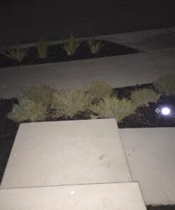 URPOWER Solar Lights Outdoor, Adjustable Solar Spot Lights Outdoor, 2-in-1 Waterproof Solar Landscape Spotlights Wall Light, Dusk-to-Dawn Solar Powered Outdoor Light for Garden, Yard (2 Pack Warm) 2 Pack Warm White 39 71rMumqxPmL