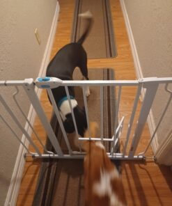 Carlson Extra Wide Walk Through Pet Gate with Small Pet Door, Includes 4-Inch Extension Kit, Pressure Mount Kit and Wall Mount Kit,White 42 71rQ3ghbapL