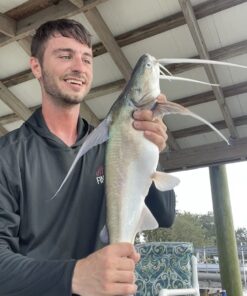 Ugly Stik GX2 Spinning Reel and Fishing Rod Combo 40 Size Reel - 6'6" - Medium Heavy - 1pc 37 71rQHlW1BwL