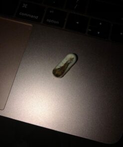 NATURELO Prenatal Multivitamin with Gentle Chelated Iron, Methyl Folate, Plant Calcium & Choline - Vegan, Vegetarian - Non-GMO - Gluten Free - 180 Capsules - 2 Month Supply 180 Count (Pack of 1) 43 71rQNmoX L