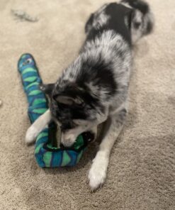 Outward Hound Durablez Tough Plush Squeaky Dog Toy, Snake, Blue, XL Blue Snake 45 71rS4WE0qlL