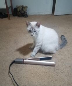 FURIDEN Professional Salon Quality Hair Straightener, Hair Straightener and Curler 2 in 1, Flat Iron Curling Iron in One, Fast Results | Long Lasting Gold 59 71rTXlb JlL