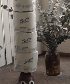Scott® Professional 100% Recycled Fiber Standard Roll Toilet Paper (13217), with Elevated Design, 2-Ply, White, Individually wrapped rolls, 473 Count (Pack of 80), Total 37,840 Sheets 40 71rUTvDMMuL