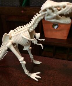 4M KidzLabs Dig A Dino Tyrannosaurus Rex, Paleontology Skeleton Fossil Dinosaur Discovery - STEM Toys Educational Gift for Kids & Teens, Girls & Boys 33 71rVAvgvTL 4
